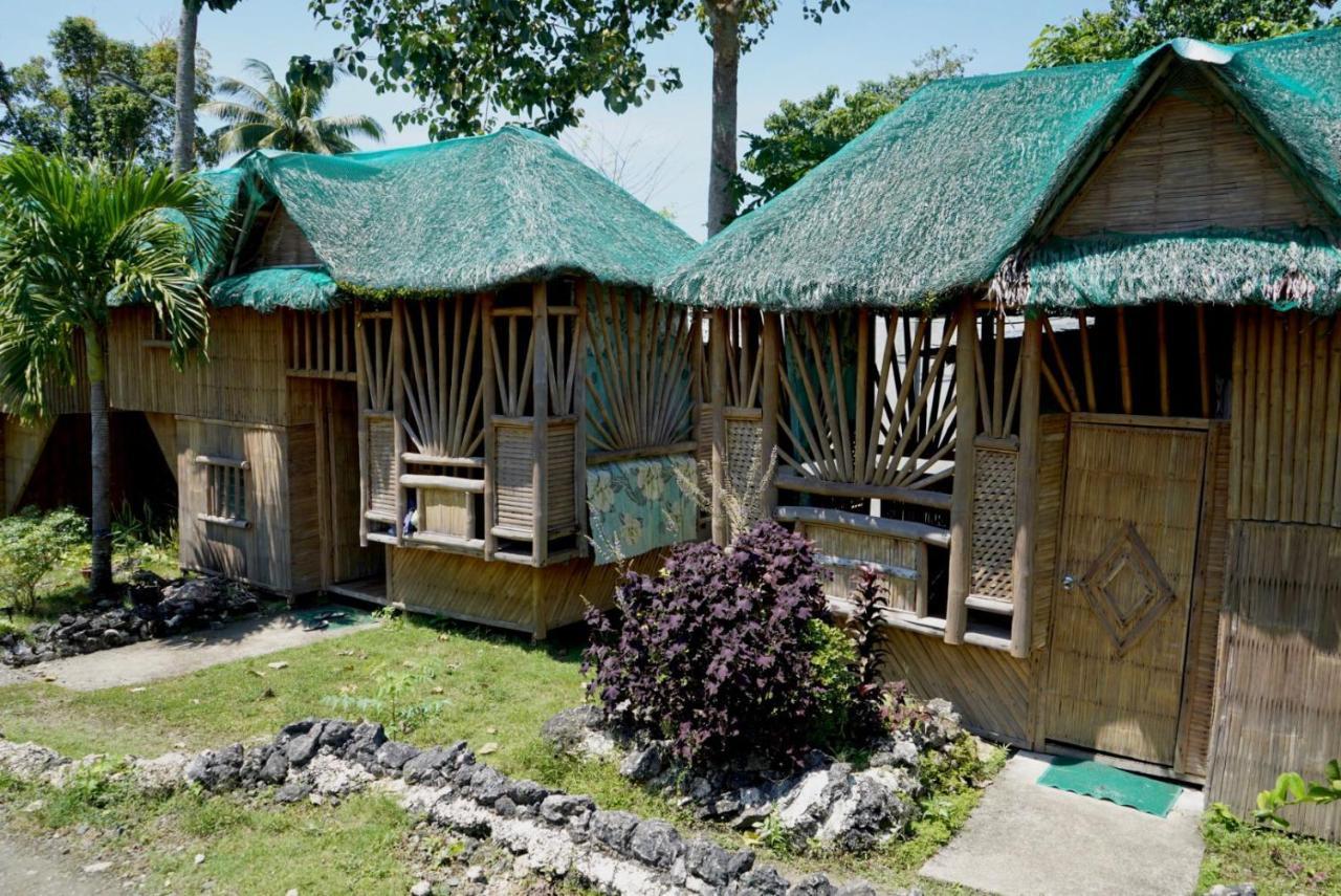 Nirvana Resort & Dive Centre - Moalboal Exteriér fotografie
