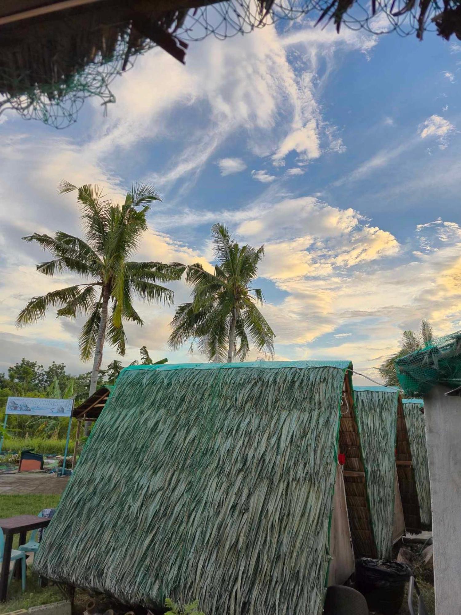 Nirvana Resort & Dive Centre - Moalboal Exteriér fotografie